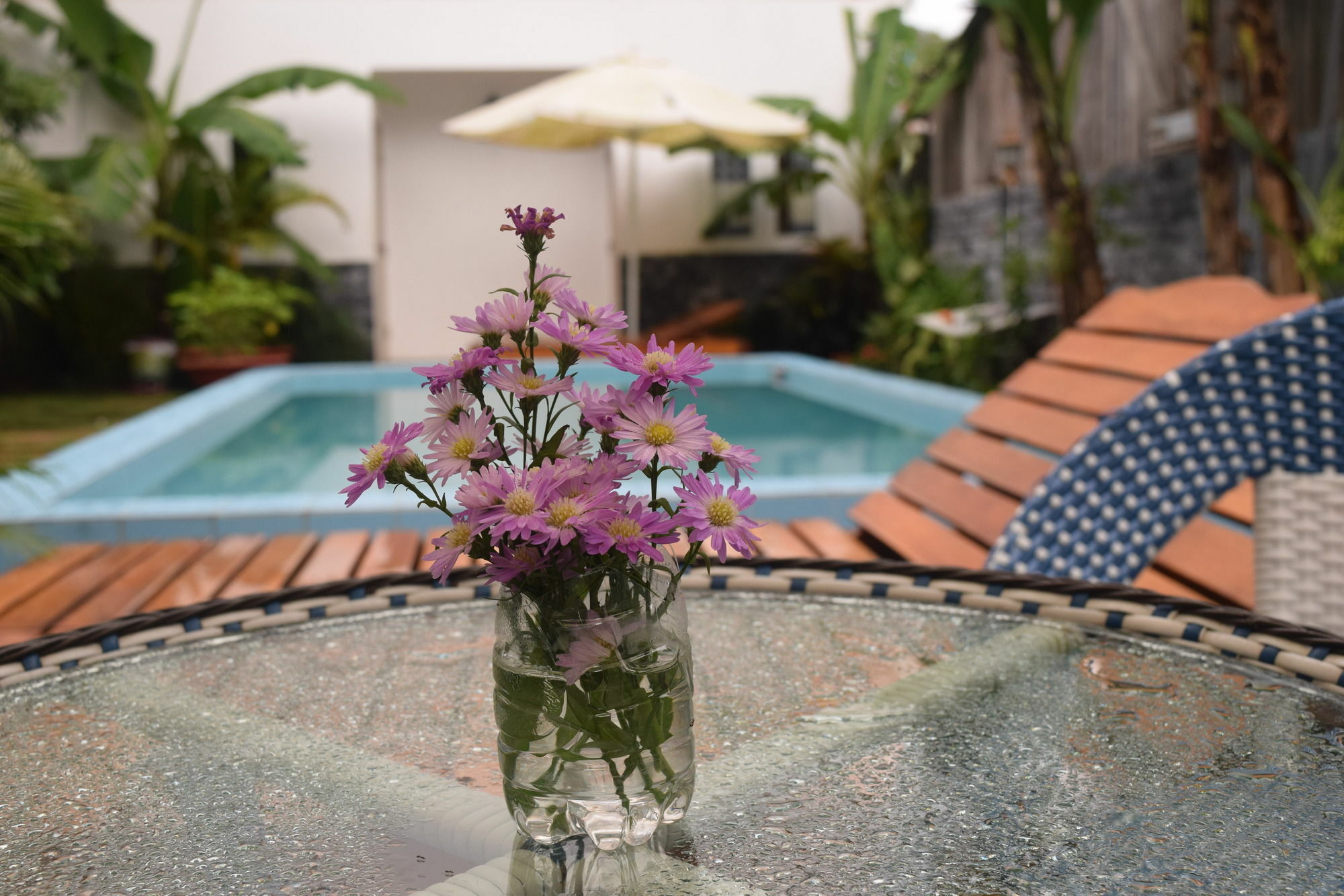 Orchid Guesthouse Phu Quoc Exteriör bild